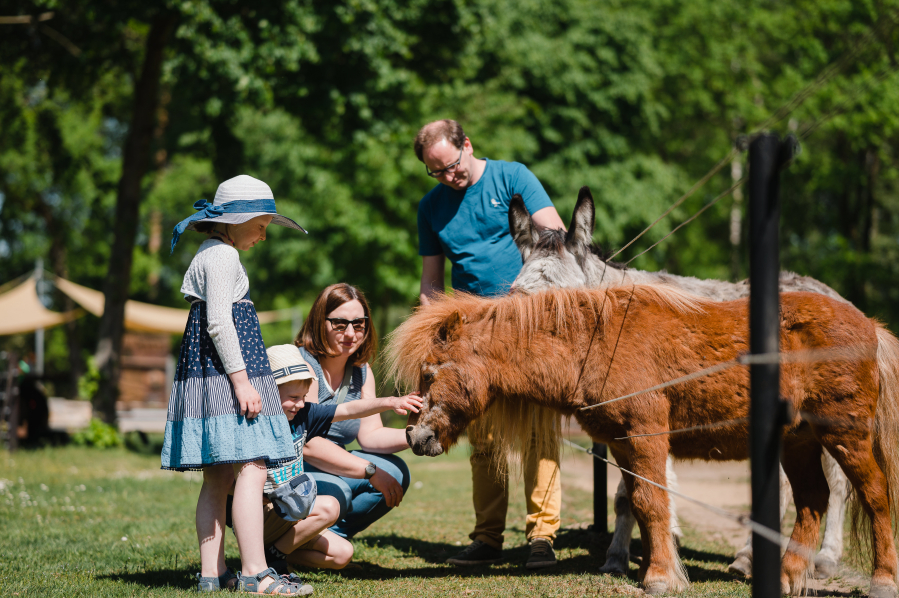 FUOL_Neisseland_Paul_Glaser_005