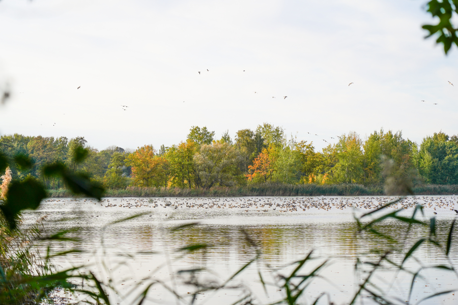 Influencerreise UNESCO