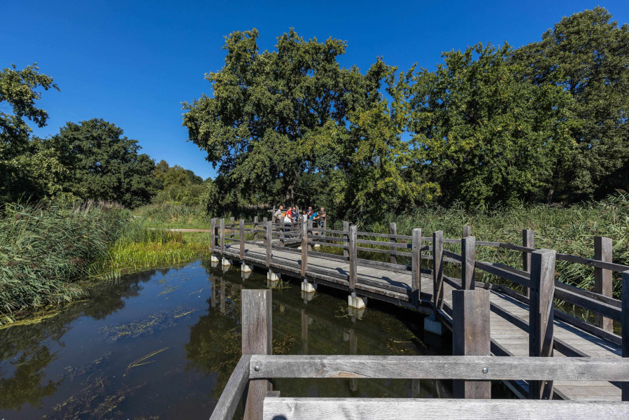 Lausitzer Fischwochen - Mario Kegel1