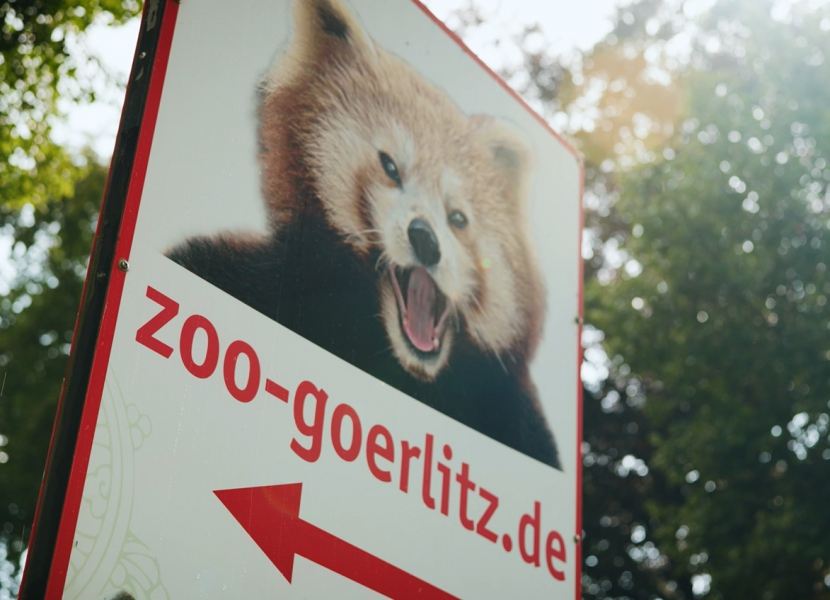 Naturschutz-Tierpark Gorlitz - Rosa Krokodil